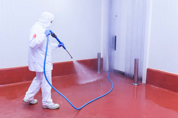 Best Patio and Deck Pressure Washing  in Franklin, GA